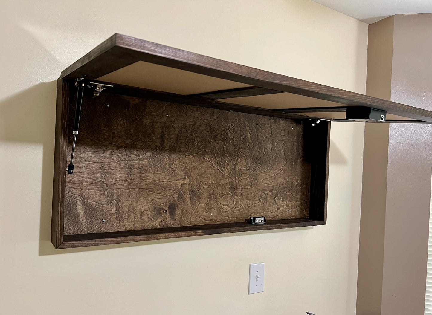Large Picture Frame Gun Cabinet